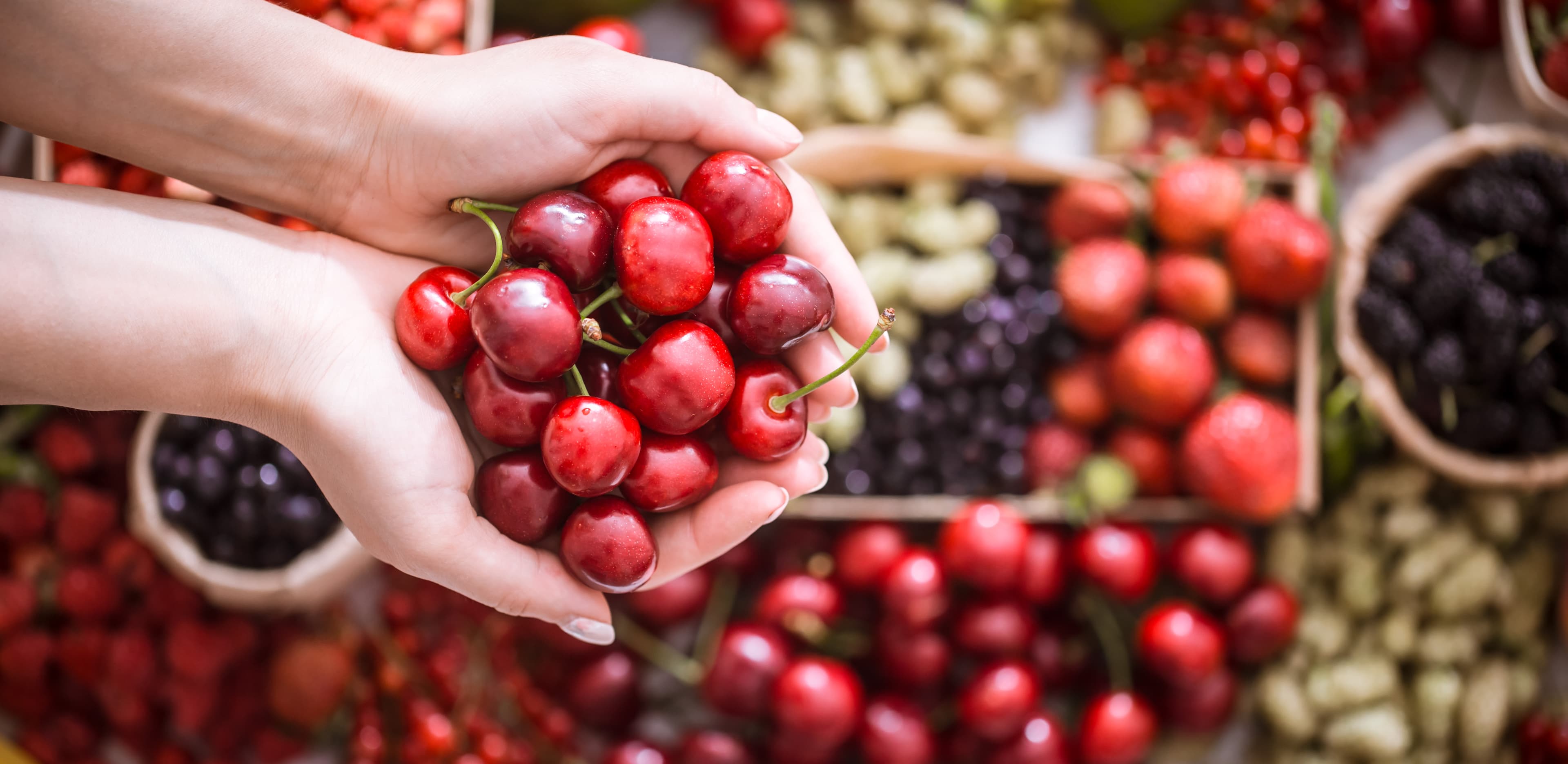 Functional Ingredients